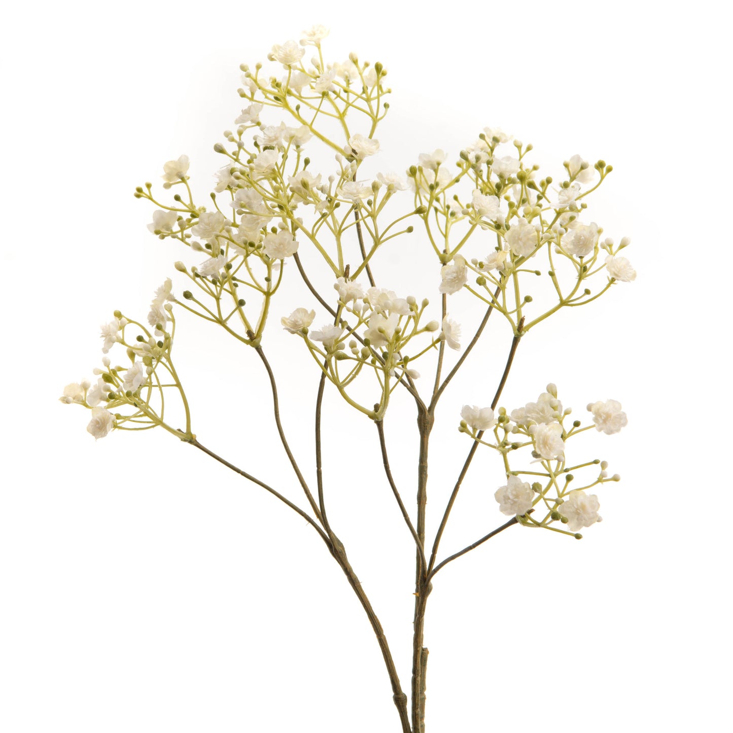 Branche artificielle de gypsophiles blancs.