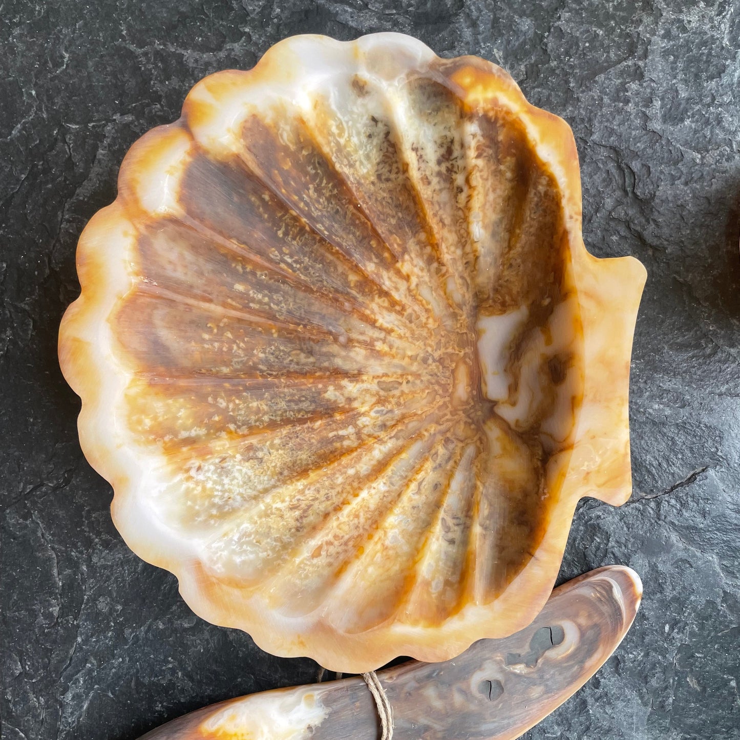 COUPELLE_EN_RESINE_-_LA_PETITE_BOITE_JAUNE