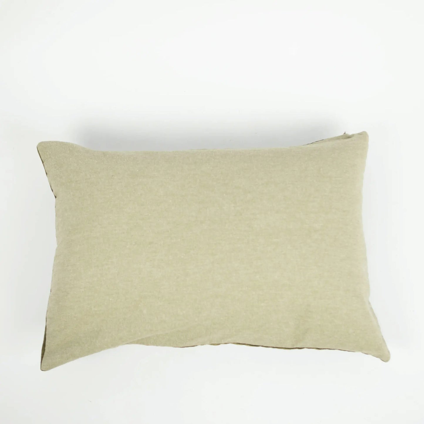 Dos du coussin en velours vert clair.