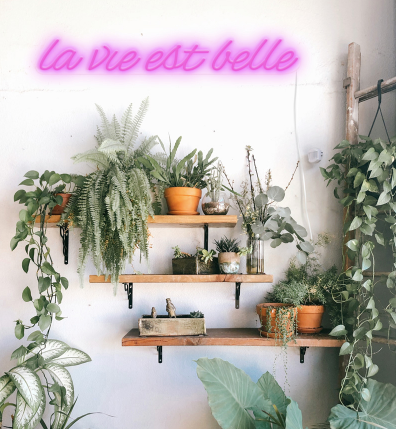 Néon en décoration murale en néon rose : LA VIE EST BELLE