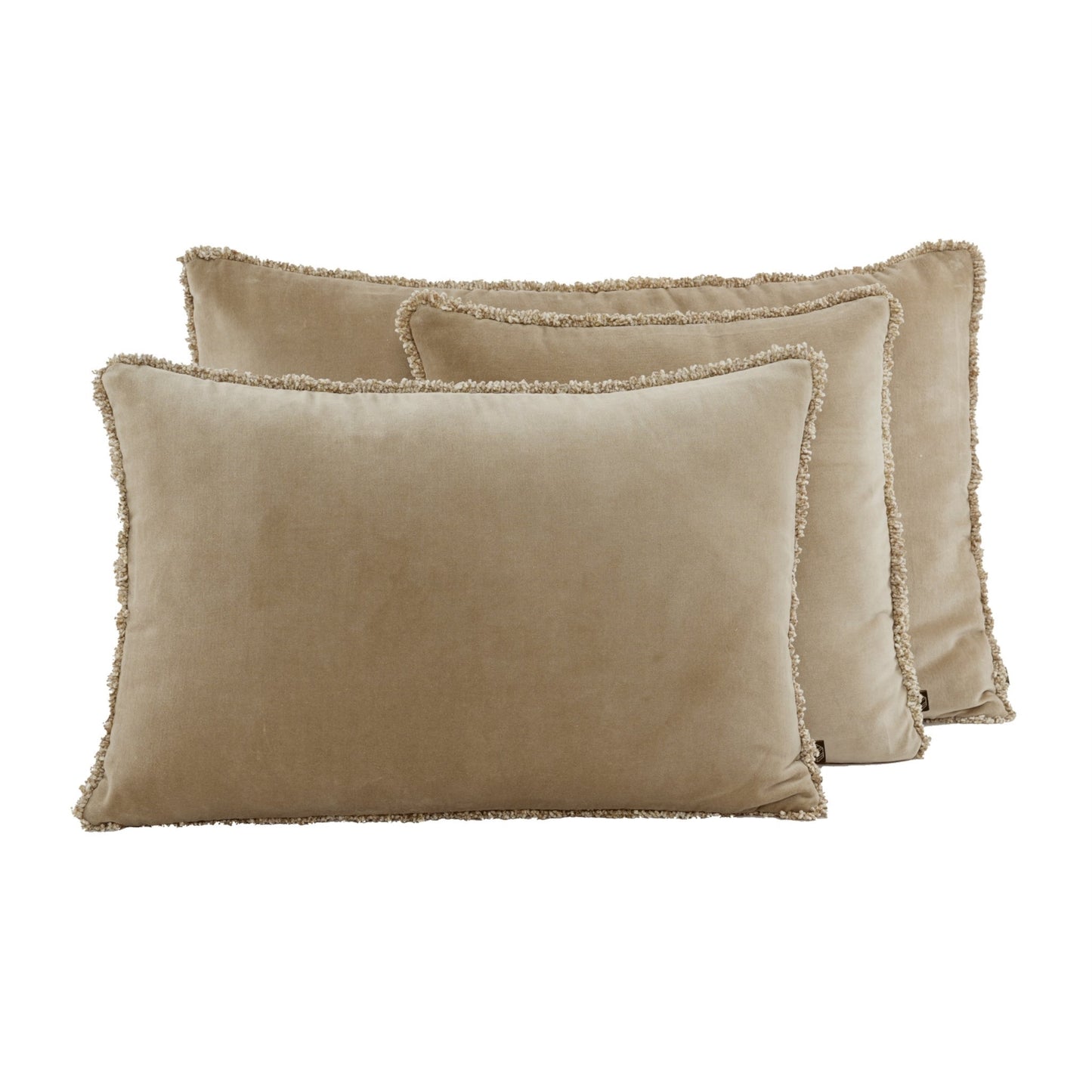 Coussin rectangulaire uni en velours, modèle Kobé - Haomy