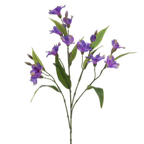 Branche d'Alstroemeria - 2 couleurs