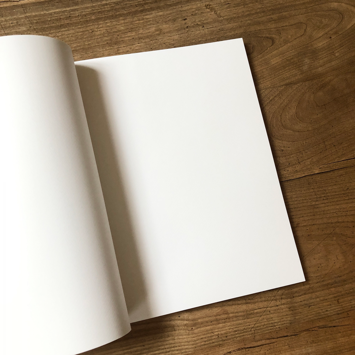 Cahier de dessin, livre d'or, album photo Gallimard "La vie devant soi"