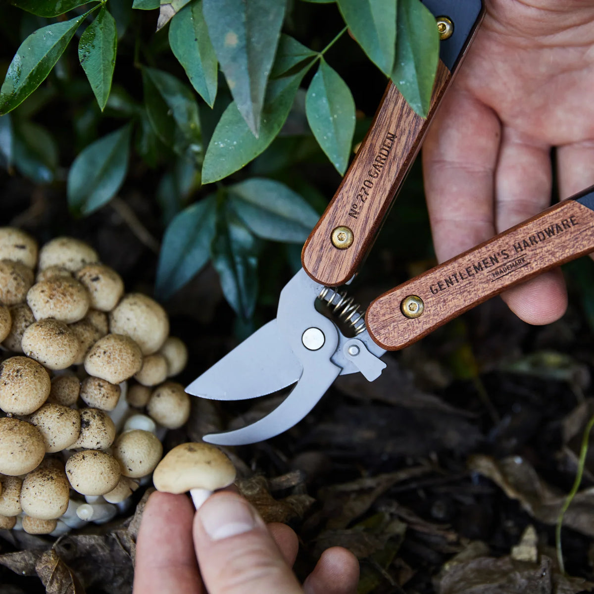 PINC EMULT IOUTILS 6ENUN POUR LE JARDIN2-LA PETITE BOITE JAUNE