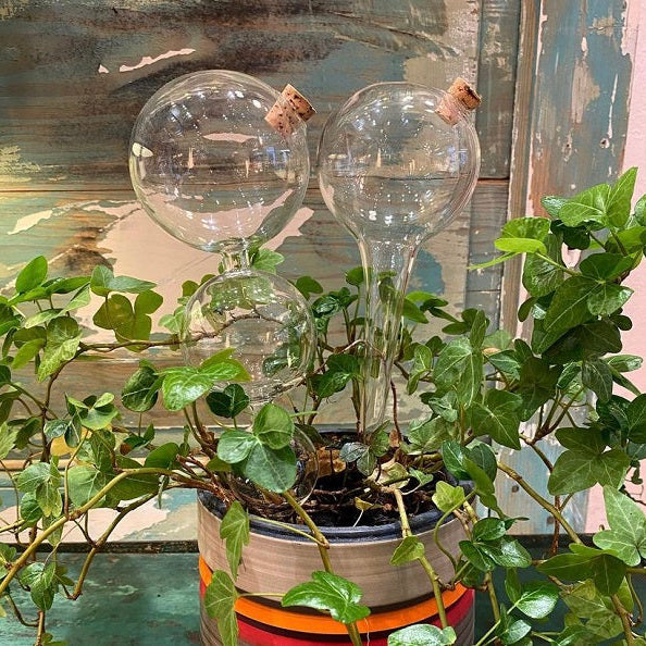 PIPETTE BOULE D ARROSAGE EN VERRE