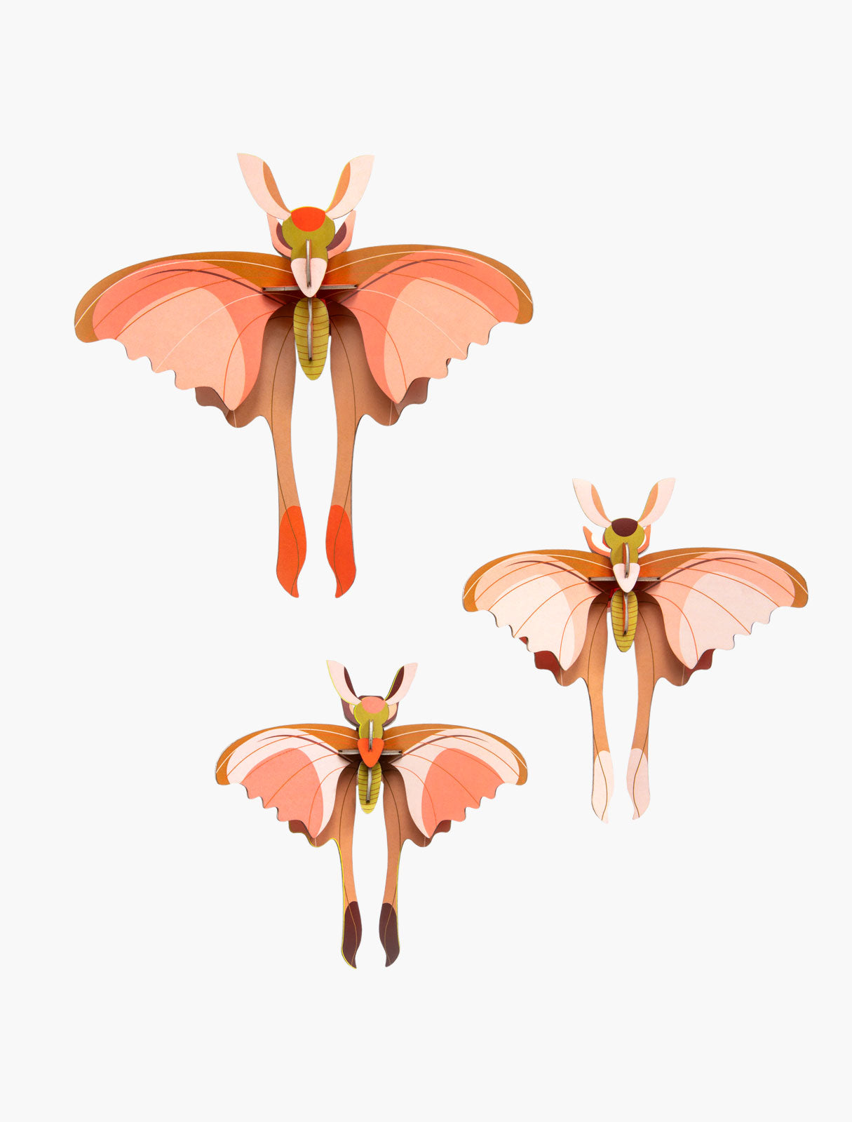 Décoration murale 3D Papillons et insectes Taille L - Studio Roof