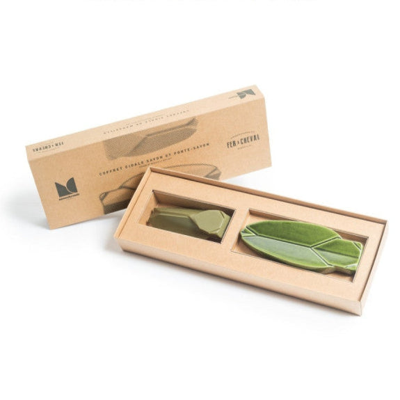 Packaging coffret vert