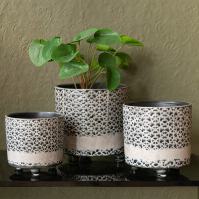 plante en plastique vert