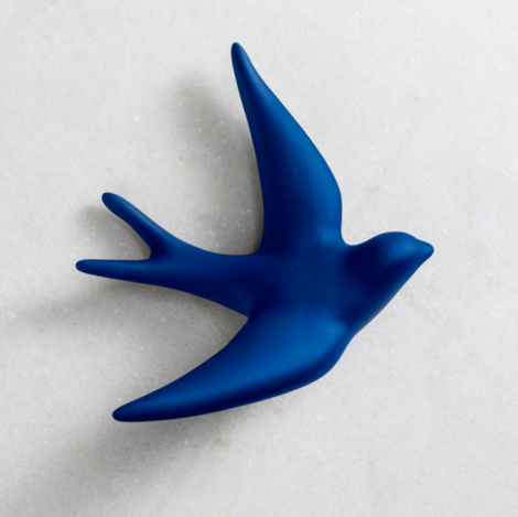 hirondelle volage bleu