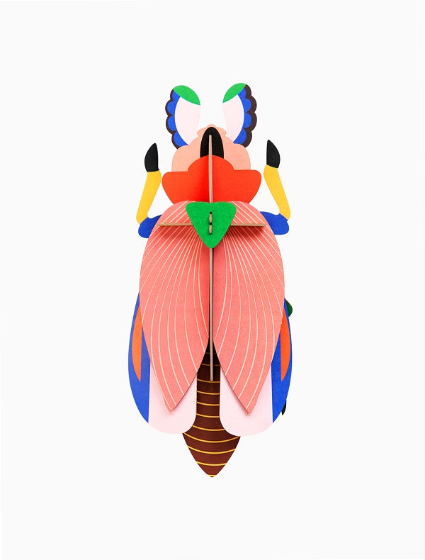 Insecte Studio Roof Taille L