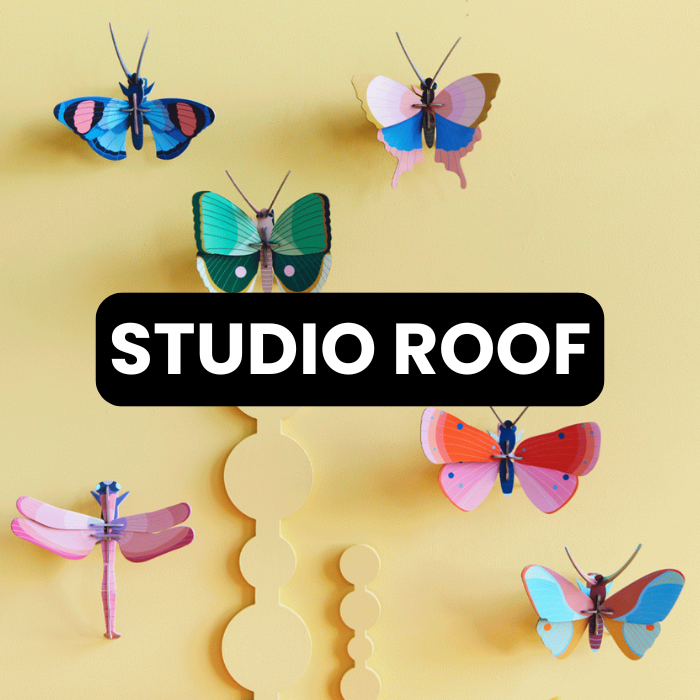 STUDIO ROOF