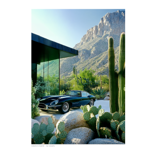 AFFICHE IMAGE REPUBLIC THE VISIONS -014-phoenix-in-phoenix - LA PETITE BOITE JAUNE-