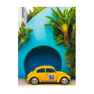 AFFICHE IMAGE REPUBLIC THE VISIONS -051-yellow-coccinelle-mexico- LA PETITE BOITE JAUNE-