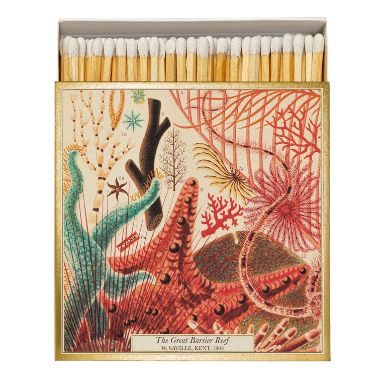 BOITE ALLUMETTES DECO CARREE BARRIERE DE CORAIL ARCHIVIST -LA PETITE BOITE JAUNE
