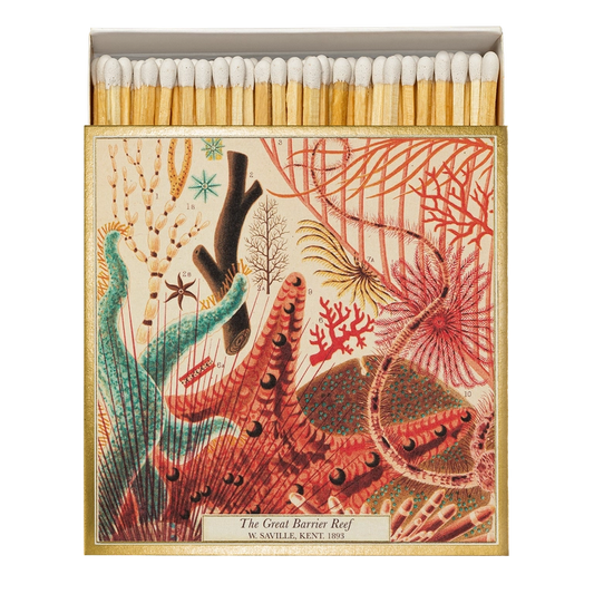 BOITE ALLUMETTES DECO CARREE BARRIERE DE CORAIL ARCHIVIST -LA PETITE BOITE JAUNE