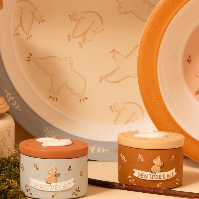 Boîte à dents birdy en situation. 