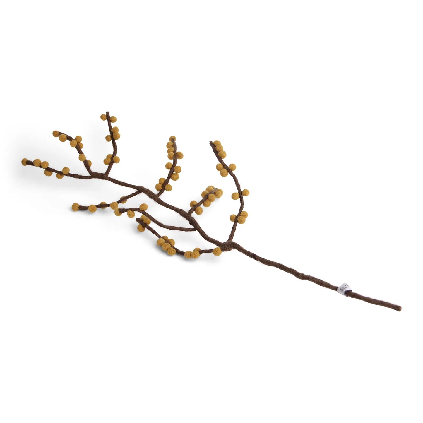 Branche avec des petites boules jaunes tels des bourgeons. 