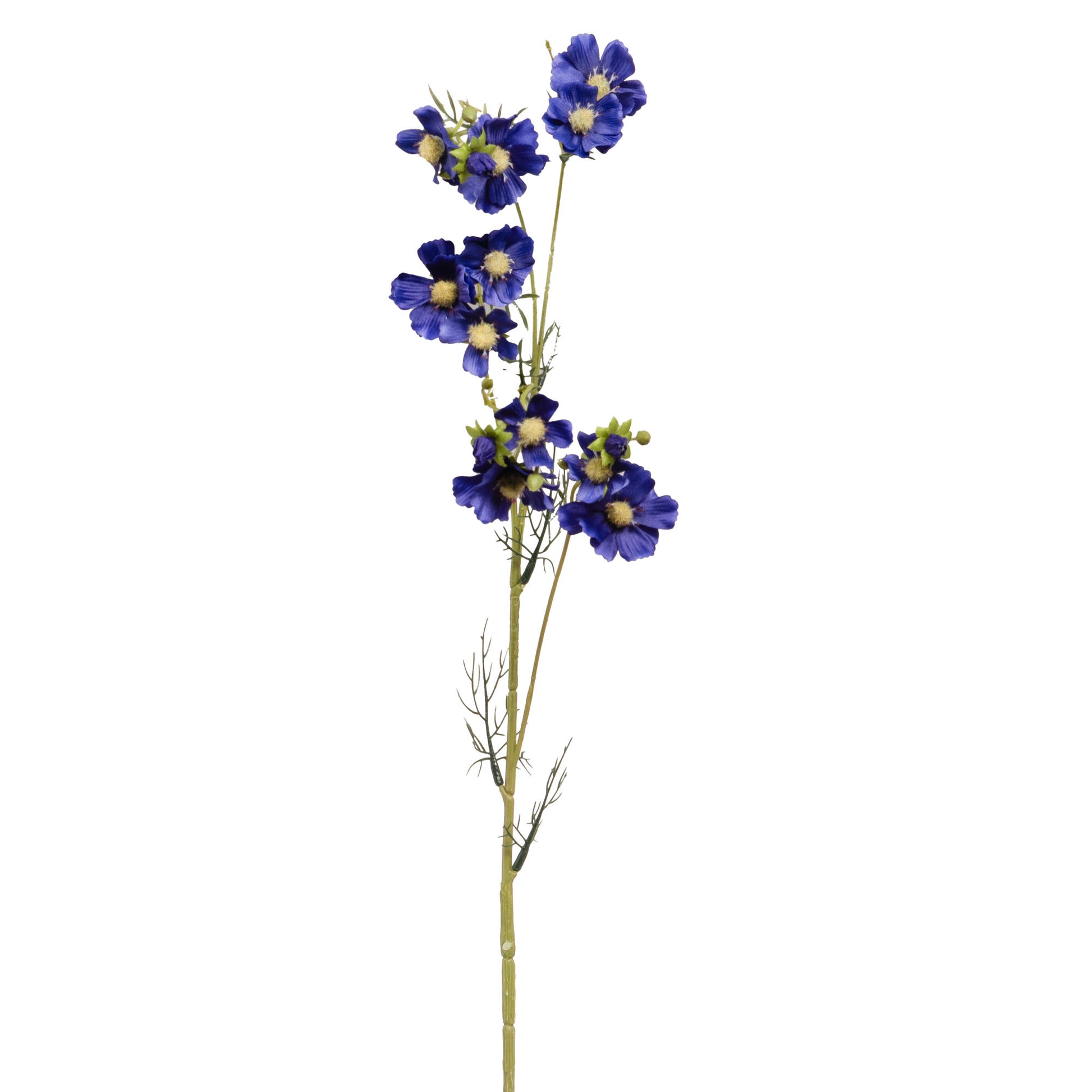 Branche artificielle de cosmos des prés. 