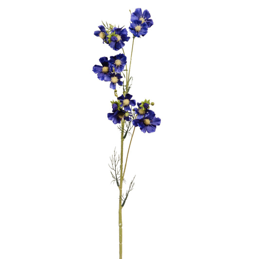 Branche artificielle de cosmos des prés. 