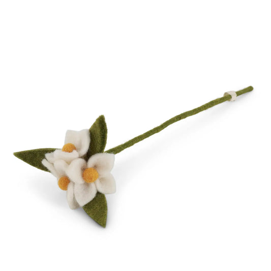 3 fleurs au bout d'une tige, de couleurs blanches.
