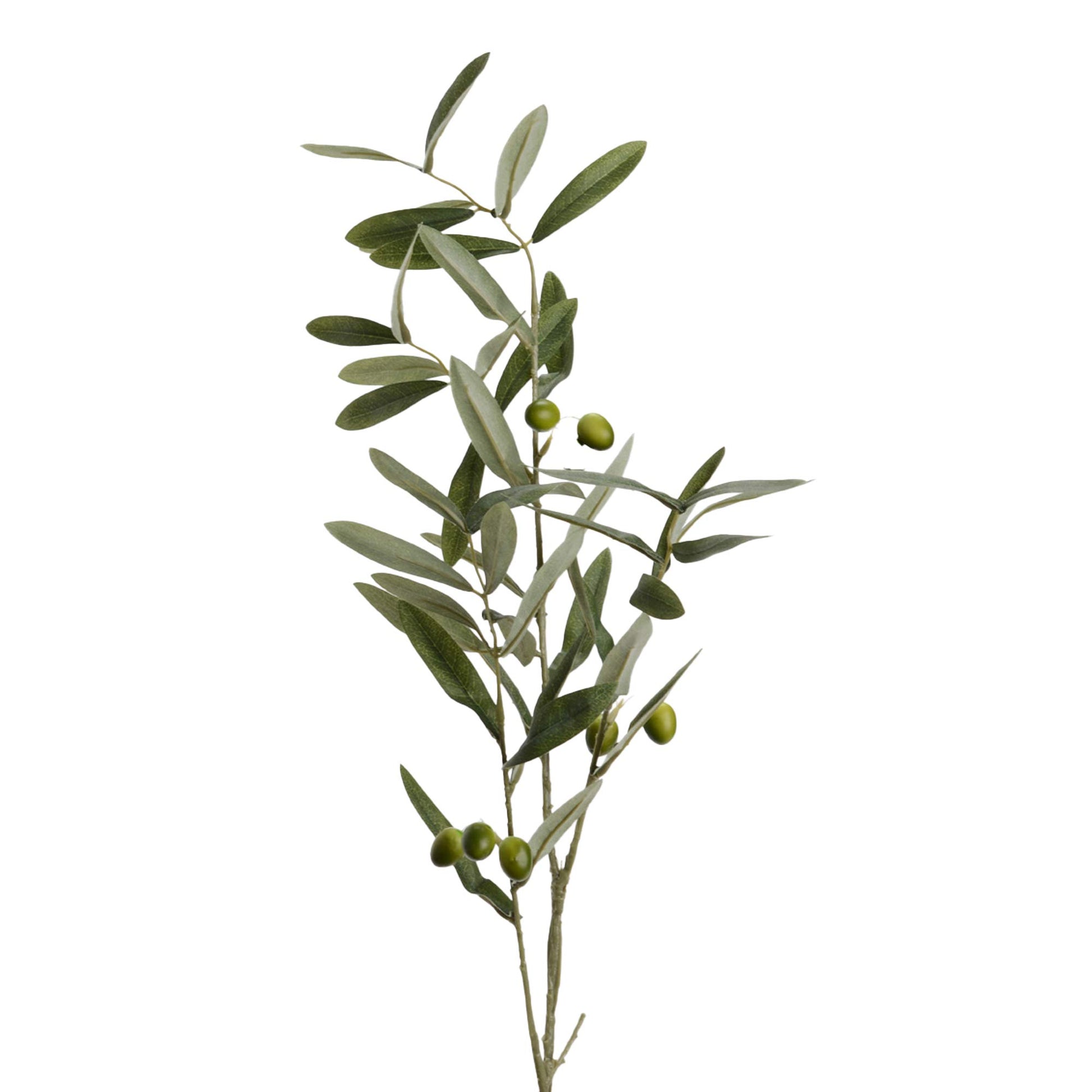 Branche d'Olivier avec olives artificielle.