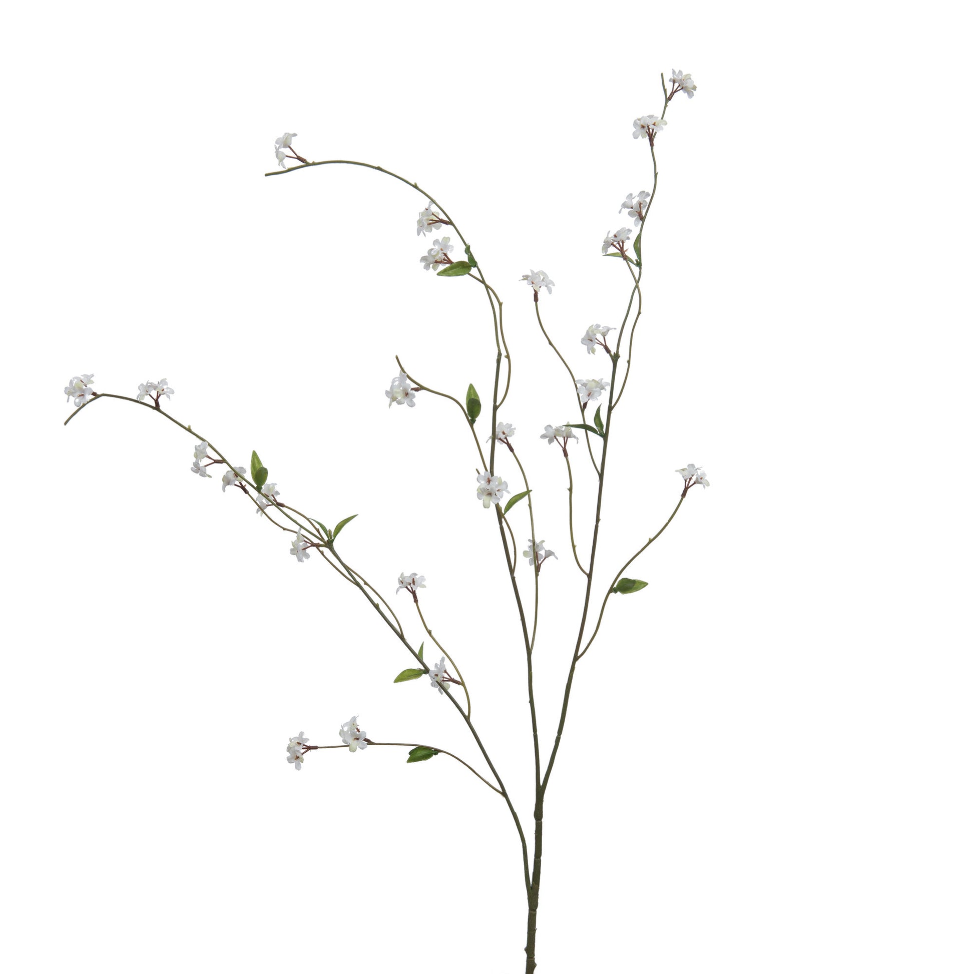 Branche artificielle de saule fleurie. 