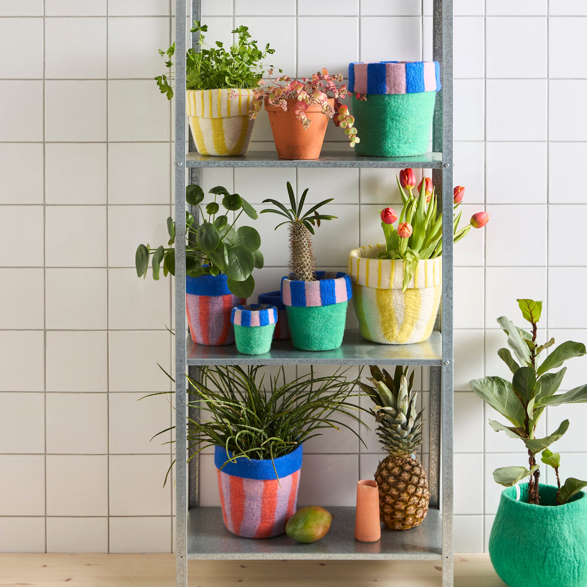 Etagères avec pots en laine feutrée de plusieurs tailles et coloris. 