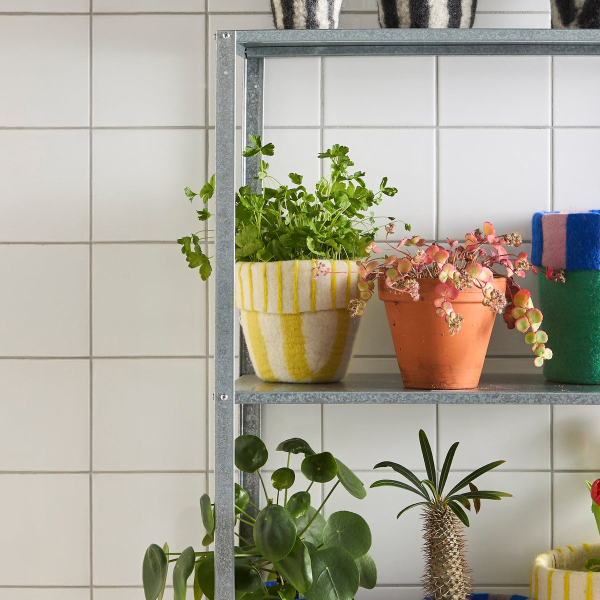 Cache-pot en laine feutrée à rayure blanches et jaunes. 