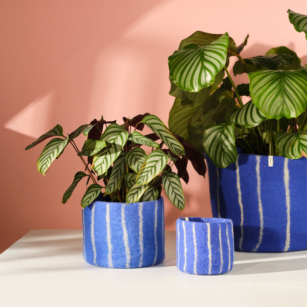 Grand cache-pot XL en laine feutrée pour grandes plantes, modèle bleu à rayures blanches