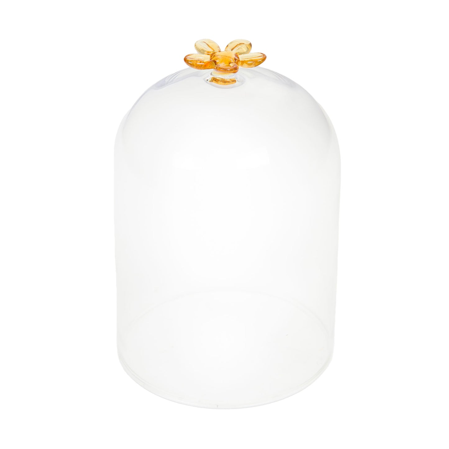 Cloche en verre décorative