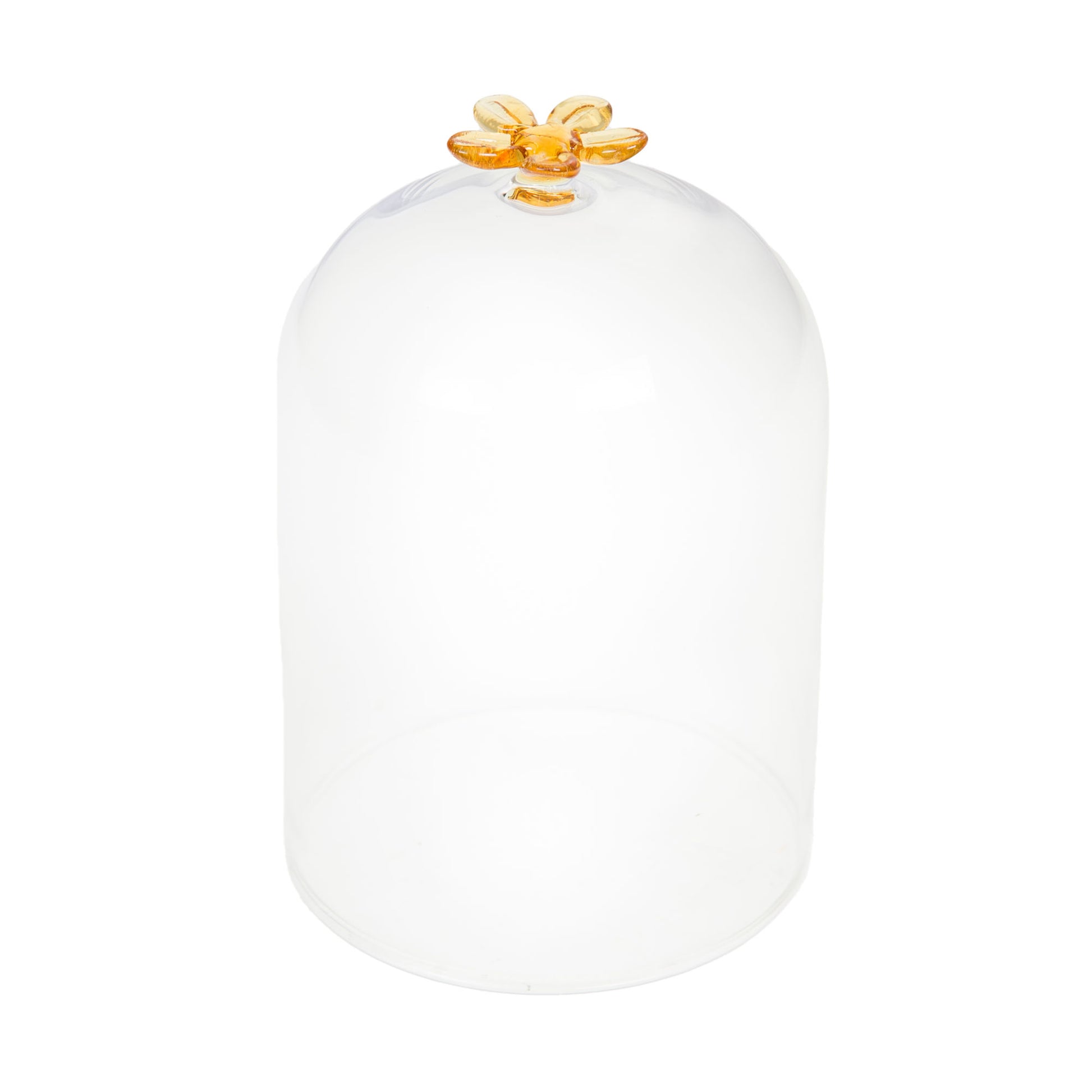 Cloche en verre décorative