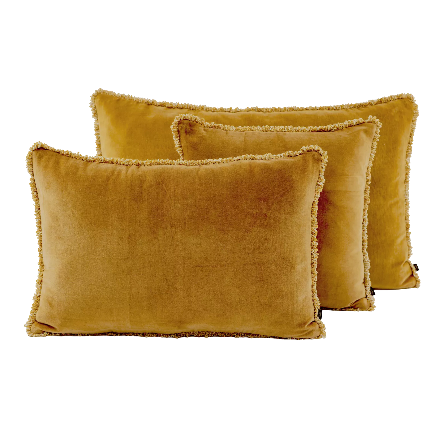 Coussin rectangulaire uni en velours, modèle Kobé - Haomy