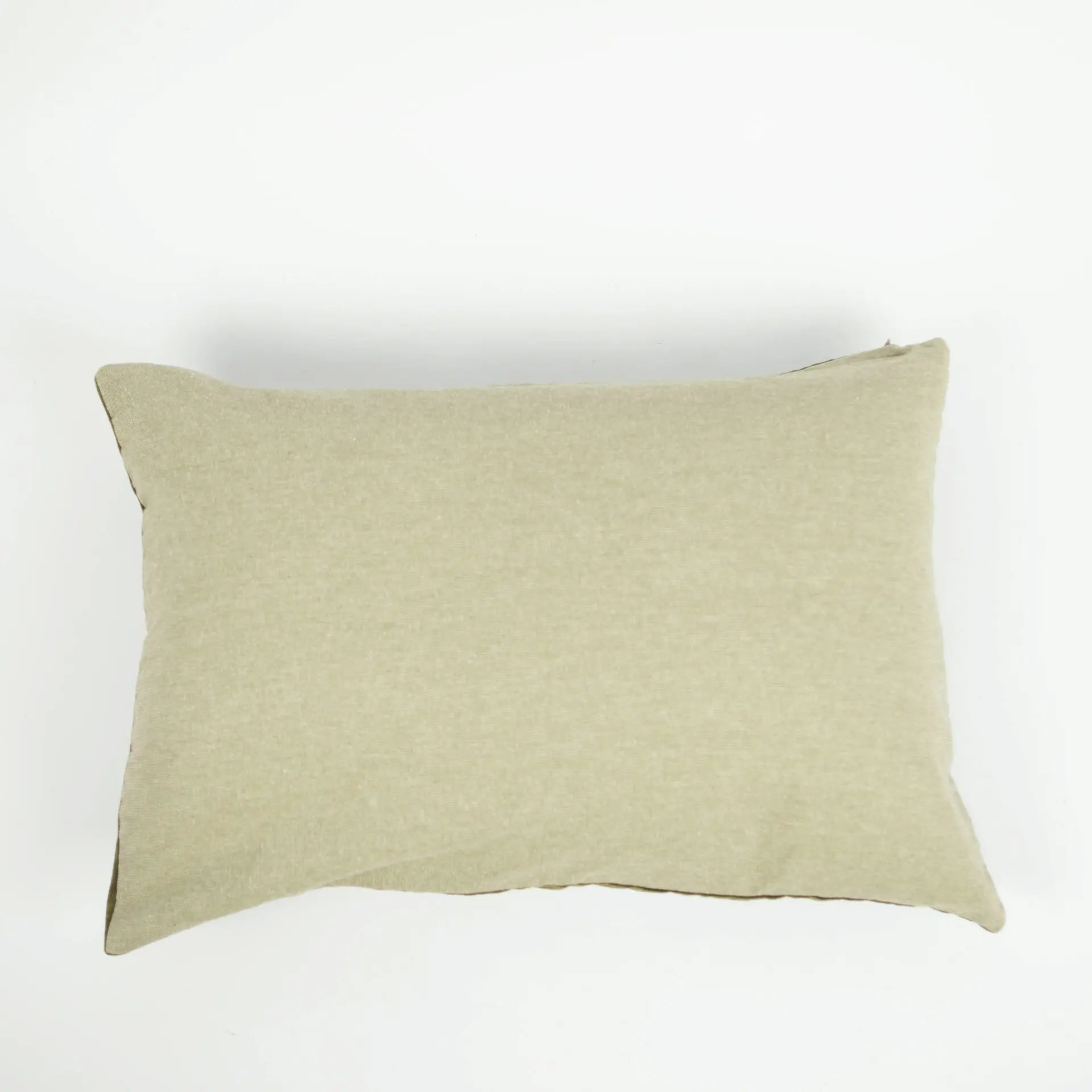 Dos du coussin en velours vert clair. 