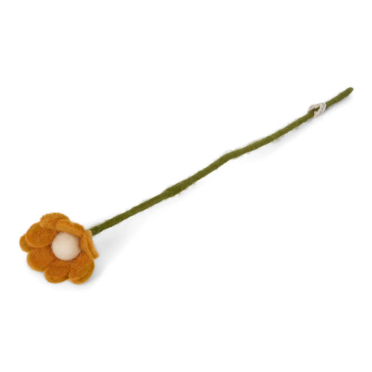 Fleurs d'anémone, coloris jaune moutarde.