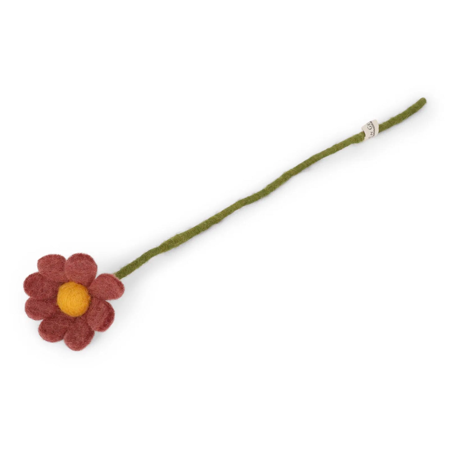 Fleurs d'anémone, coloris jaune rose.