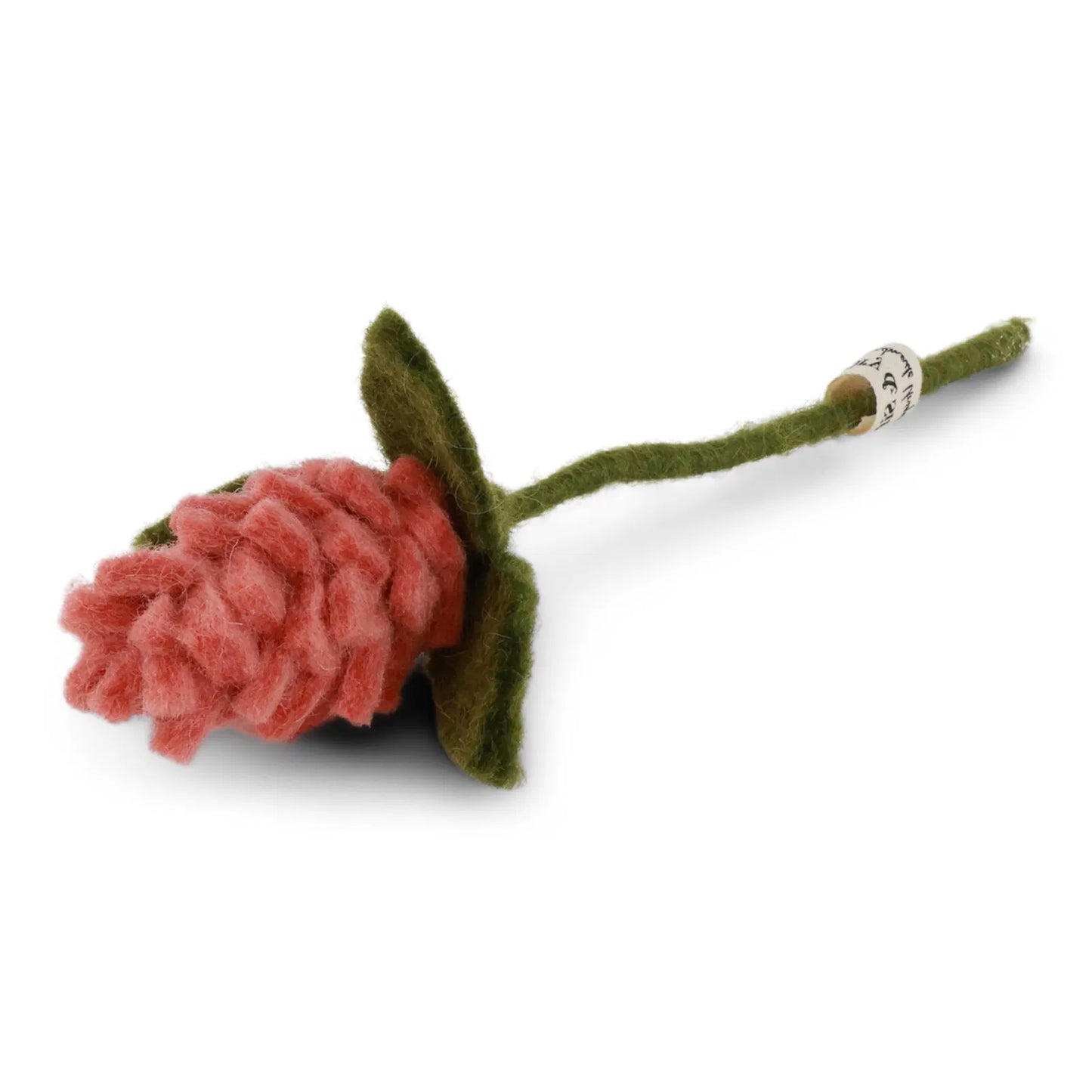 Fleurs d'artichaut rose.