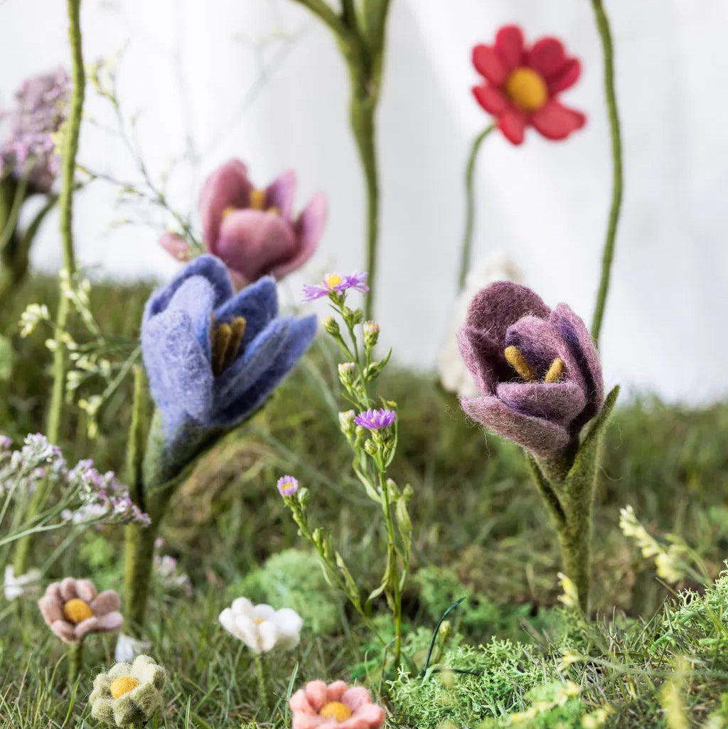 Fleurs de crocus faussement plantée dans de l'herbe.