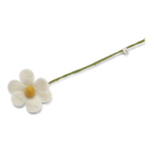 Fleurs simple type marguerite, coloris blanc. 