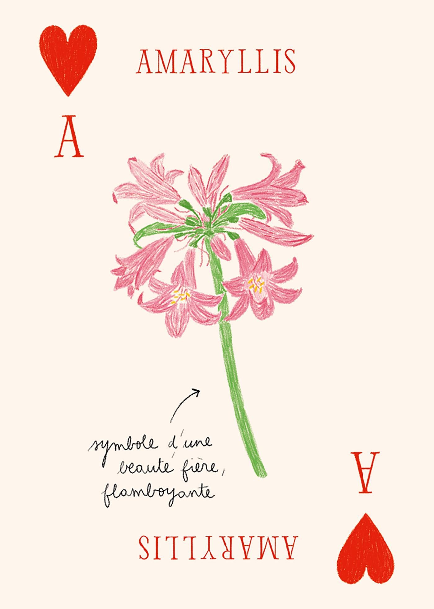 JEU DE 52 CARTES ILLUSTREES FLEURS ZOE DE LA CASES - LA PETITE BOITE JAUNE