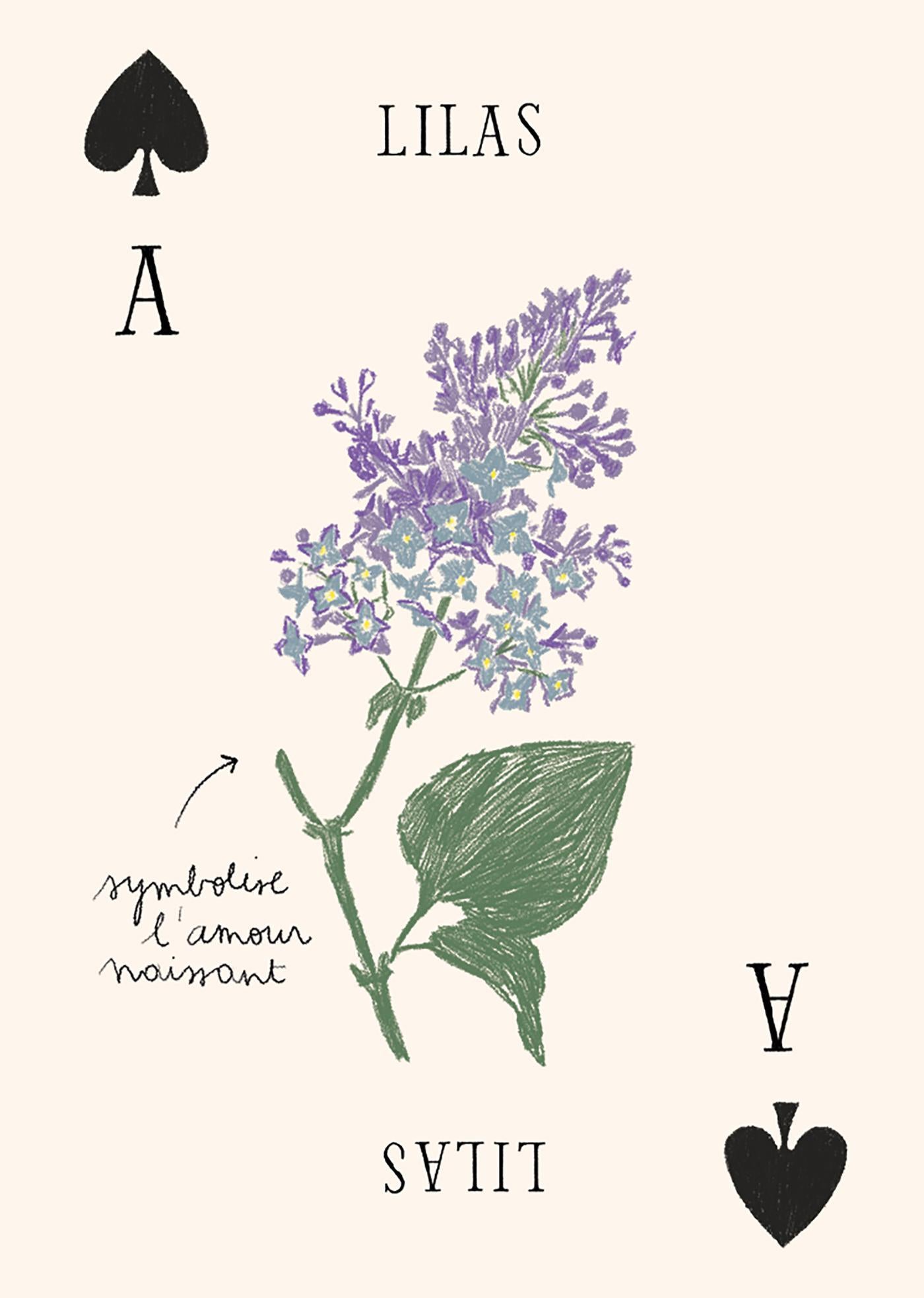 JEU DE 52 CARTES ILLUSTREES FLEURS ZOE DE LA CASES - LA PETITE BOITE JAUNE