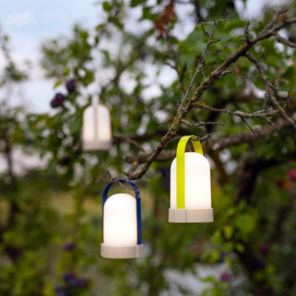 Lampes baladeuses LED suspendues dans un arbre.