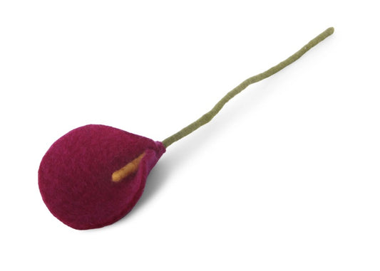 Branche d'arum