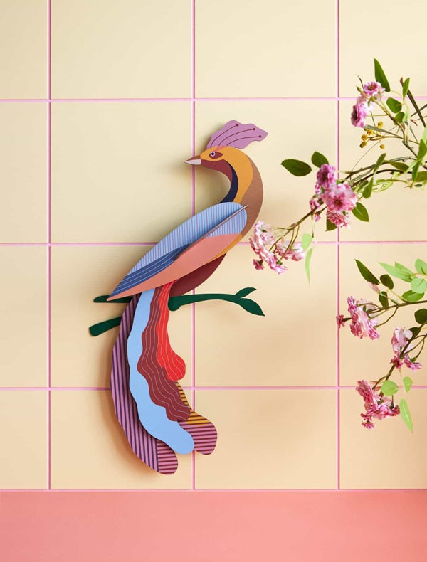 Oiseau Studio Roof taille XL