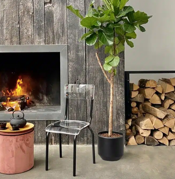 Chaise design et trop fun du designer français LAURENT BADIER