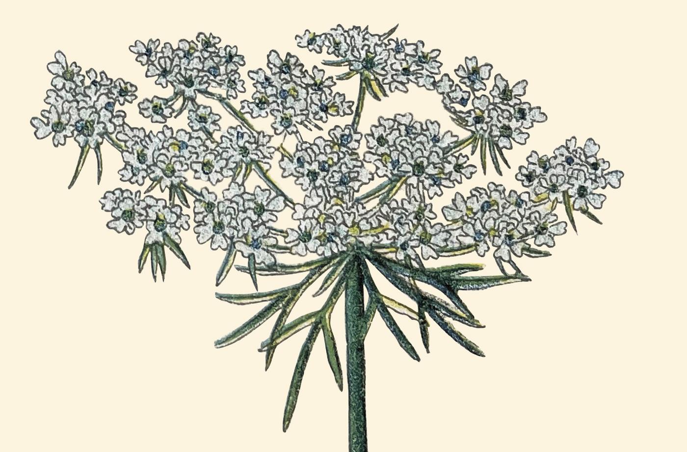 LIVRE DE 1000 STICKERS A COLLER PARTOUT ZOE DE LA CASES - LA PETITE BOITE JAUNE