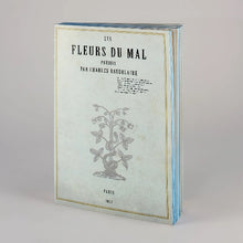 Charger l&#39;image dans la galerie, Carnet de notes / Livre blanc avec couverture d&#39;un livre classique
