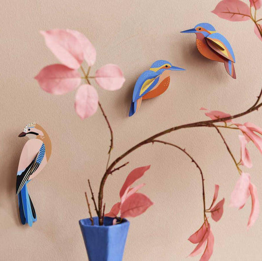 OISEAUX MERLES PAR 2  STUDIO ROOF - LA PETITE BOITE JAUNE