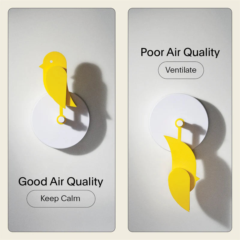 Birdie est un oiseau jaune qui surveille la qualité de l'air de votre intérieur. Ce capteur de CO2 vous accompagne en vous rappelant visuellement d'aérer. 
