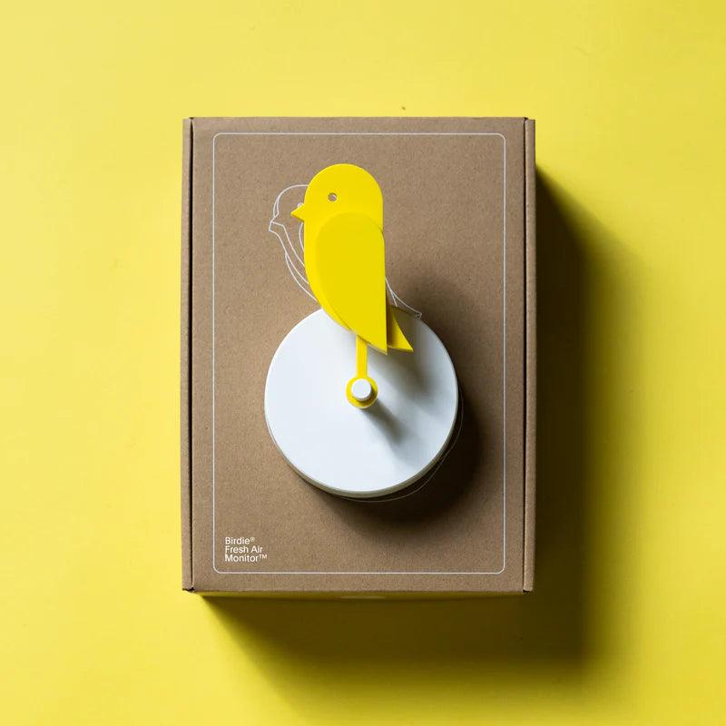 Birdie est un oiseau jaune qui surveille la qualité de l'air de votre intérieur. Ce capteur de CO2 vous accompagne en vous rappelant visuellement d'aérer. 