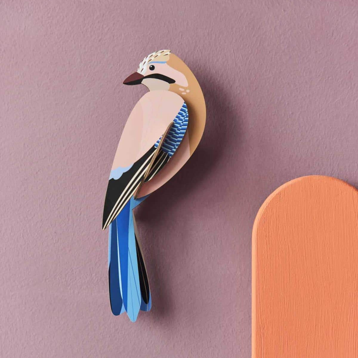 OISEAU GEAI  STUDIO ROOF - LA PETITE BOITE JAUNE